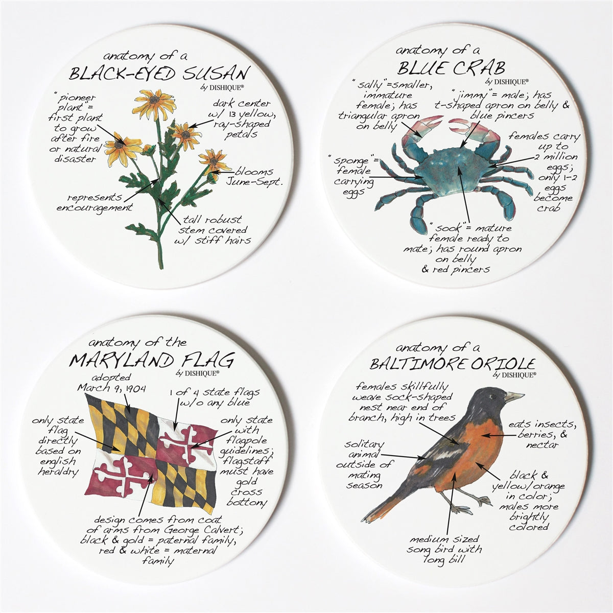 Maryland Anatomy Coaster Set