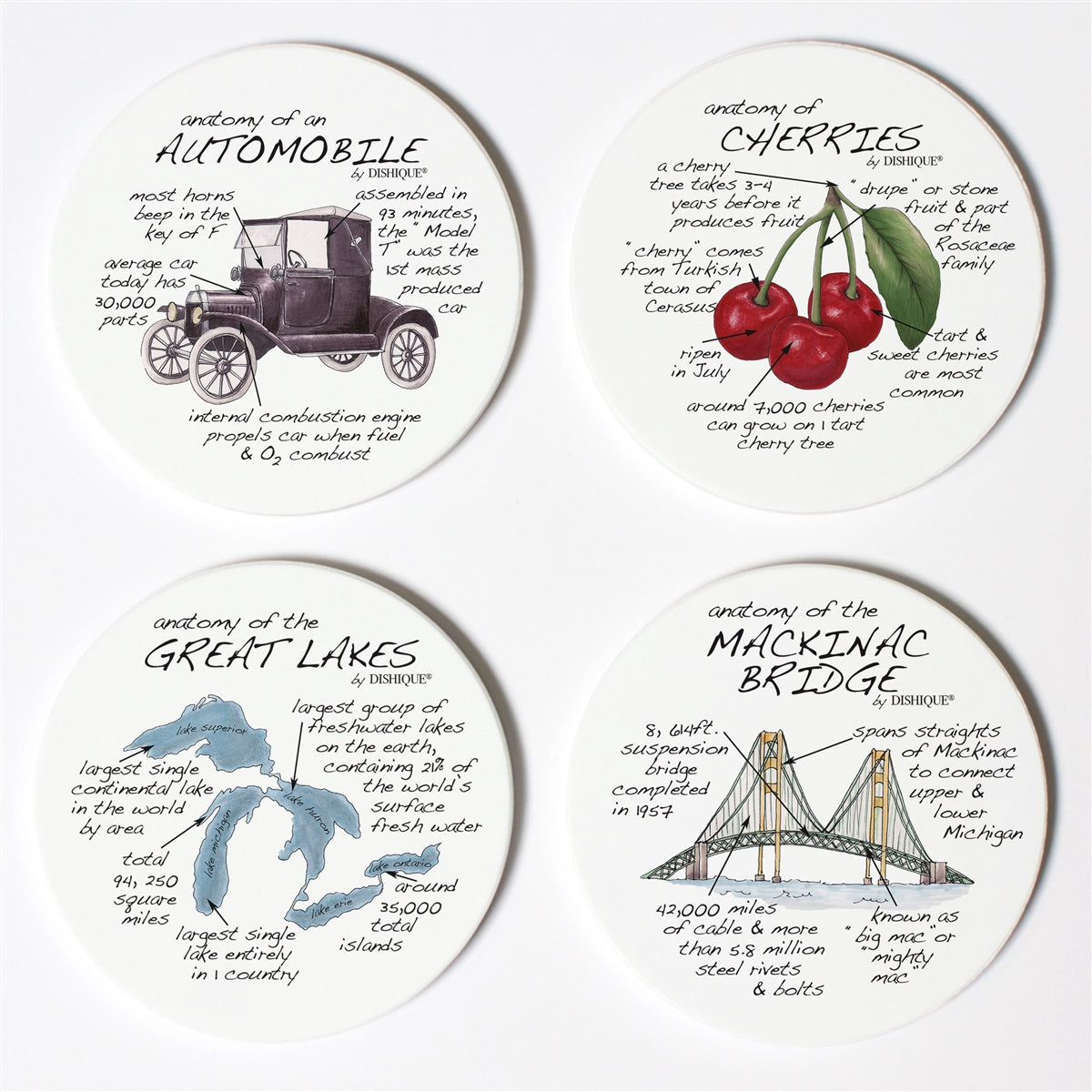 Michigan Anatomy Coaster Set