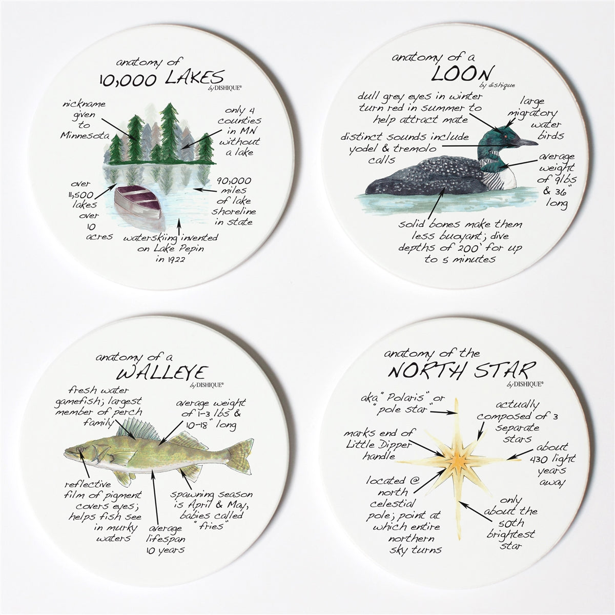 Minnesota Anatomy Coaster Set