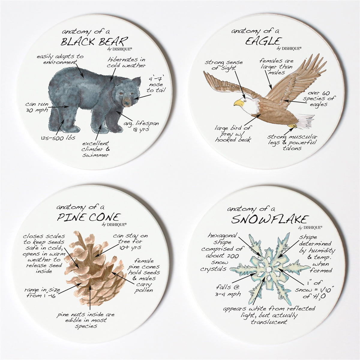 Mountain Life Anatomy Coaster Set