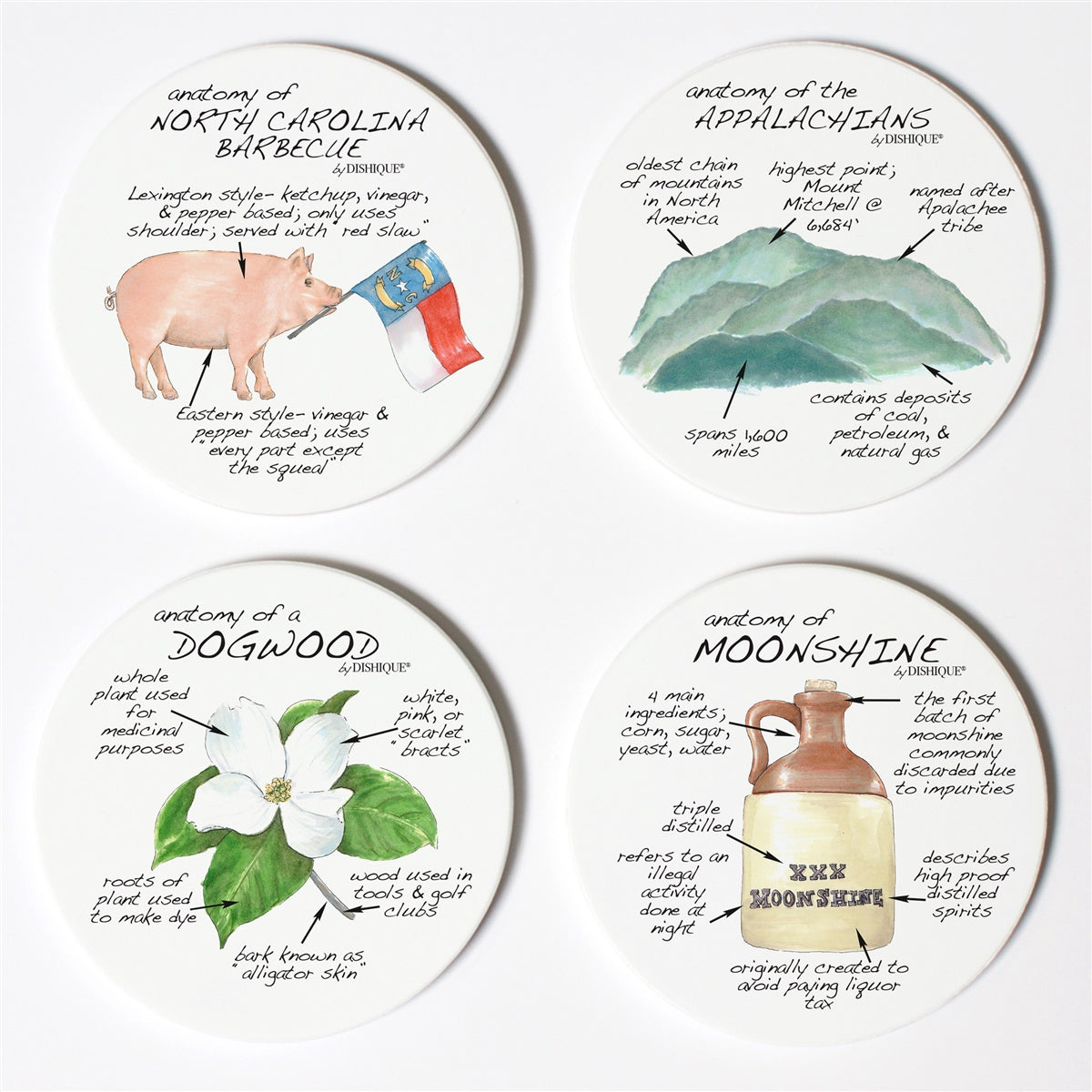 North Carolina Anatomy Coaster Set