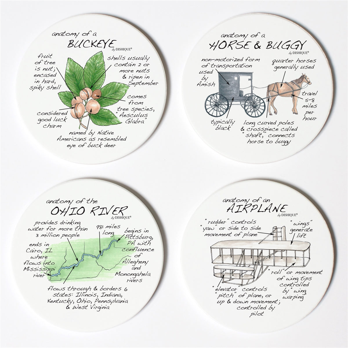 Ohio Anatomy Coaster Set