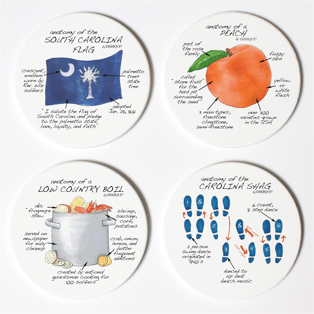 South Carolina Anatomy Coaster Set