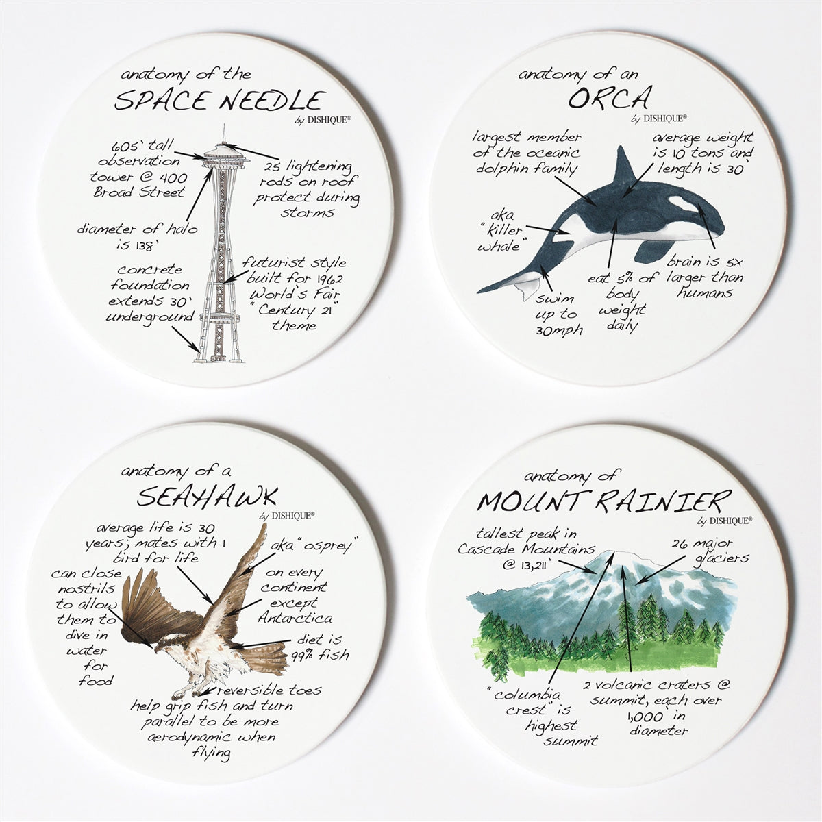 Seattle Anatomy Coaster Set