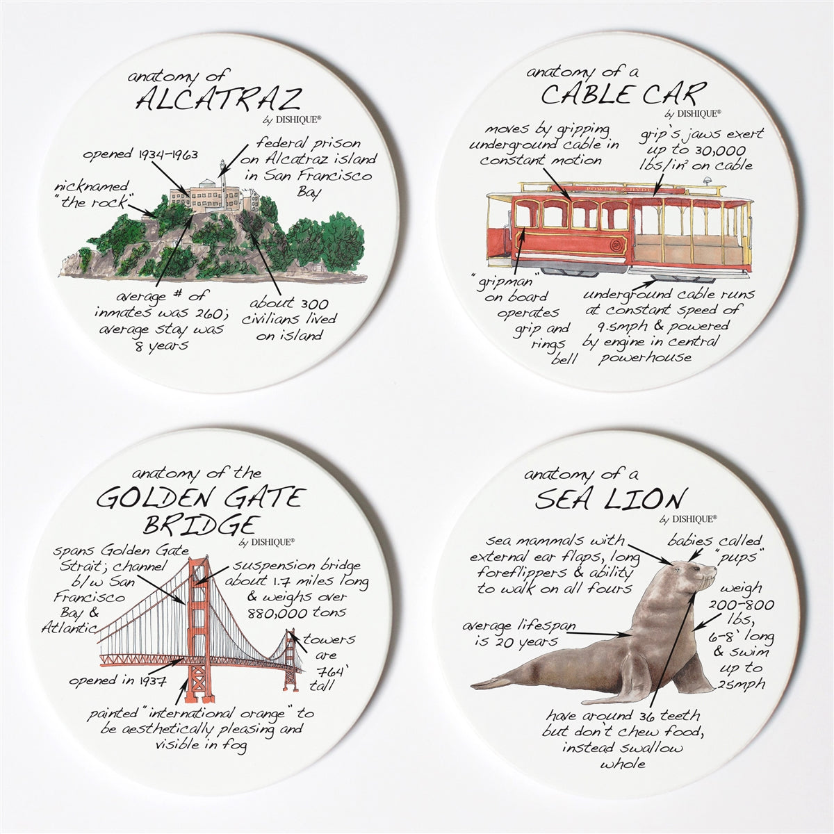 San Francisco Anatomy Coaster Set