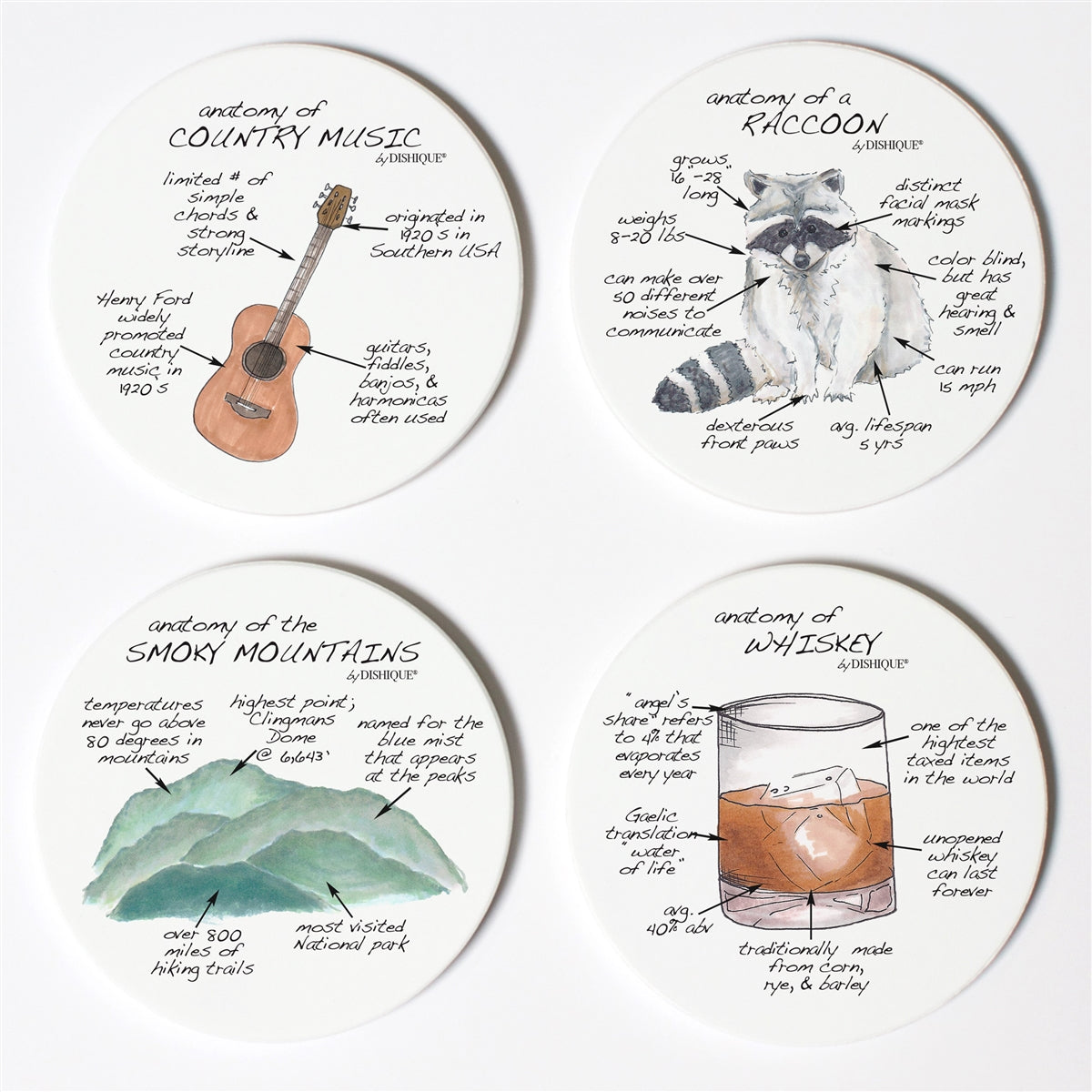 Tennessee Anatomy Coaster Set