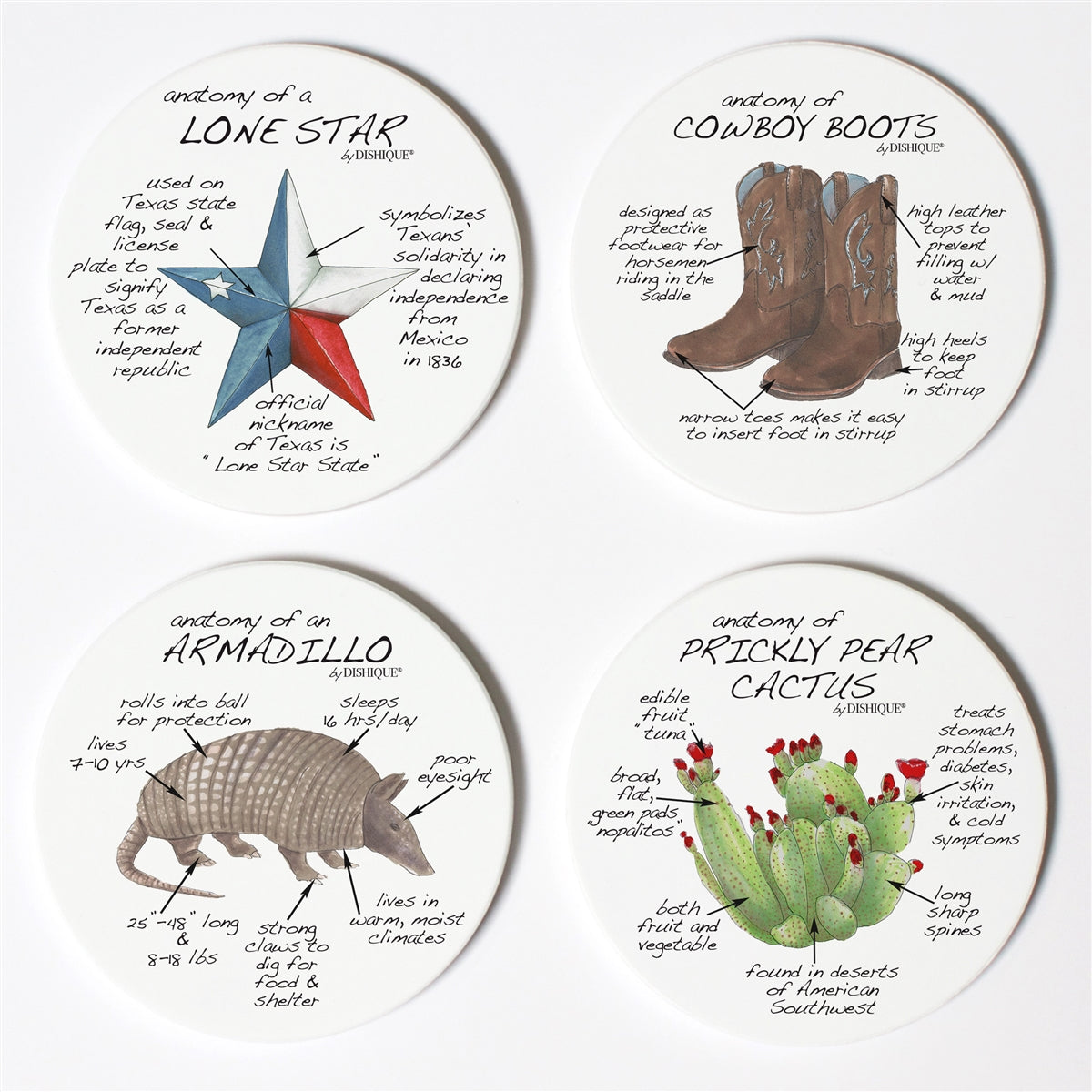 Texas Anatomy Coaster Set