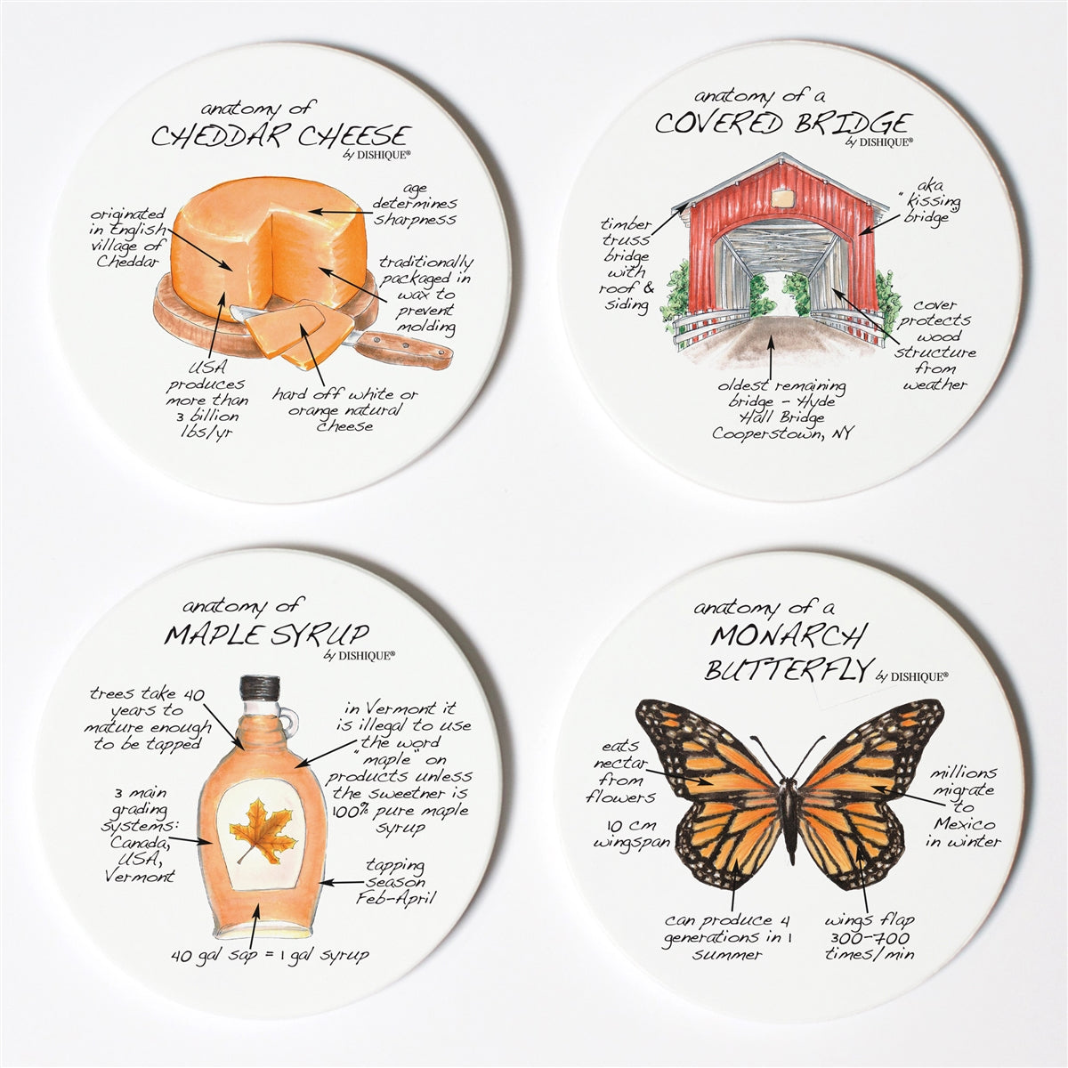 Vermont Anatomy Coaster Set