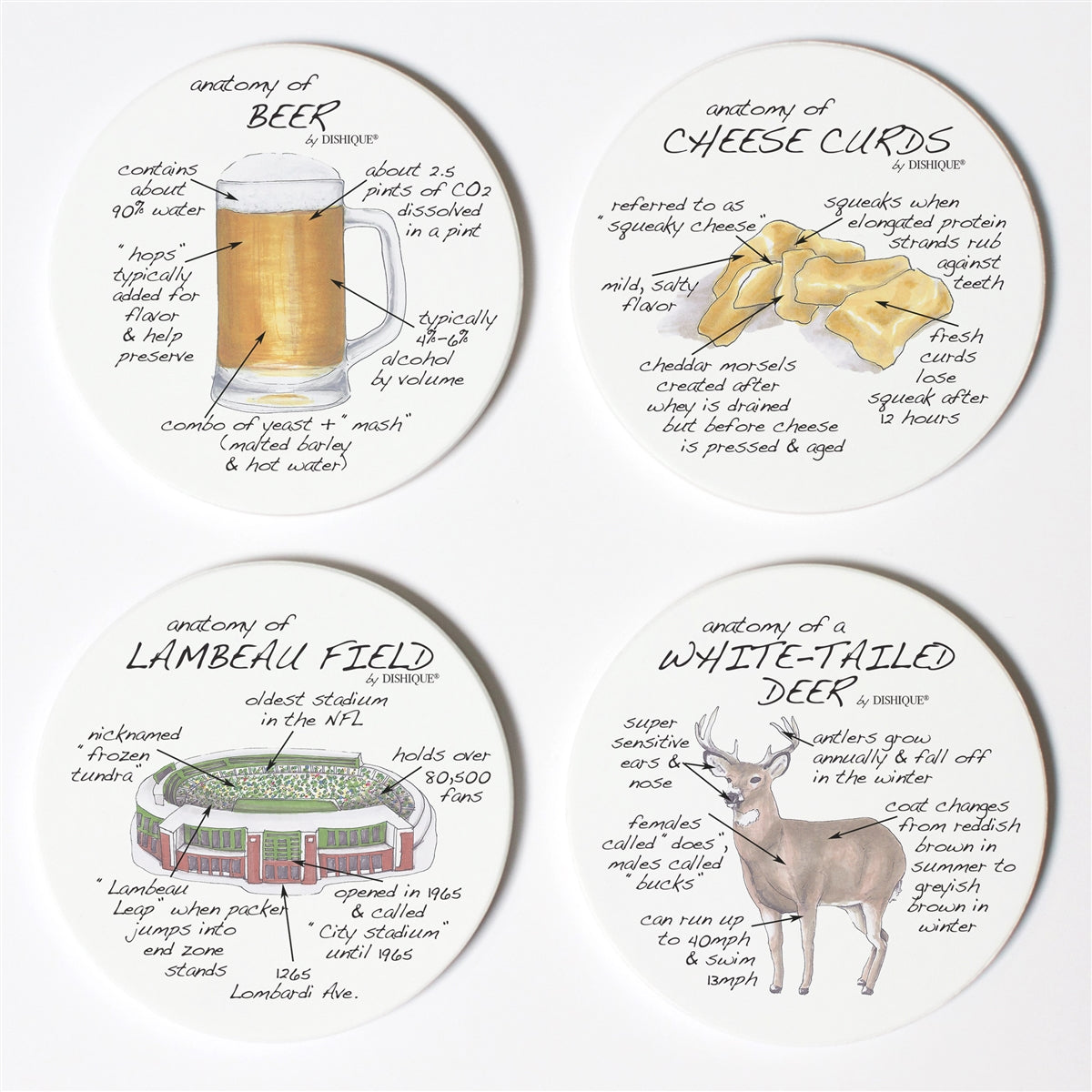 Wisconsin Anatomy Coaster Set