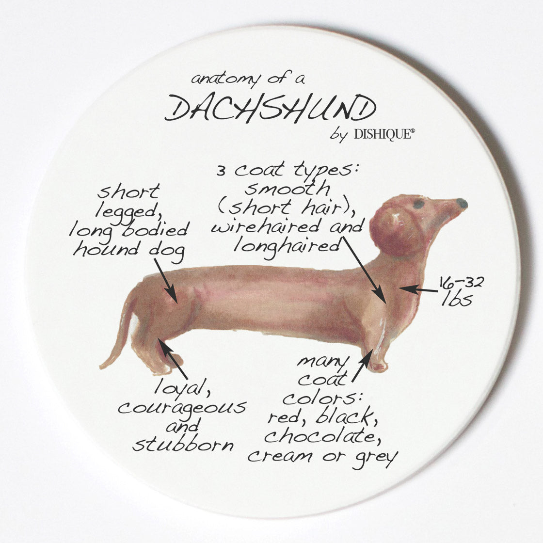 Individual Coaster - Dog Breed Gifts - Dachshund