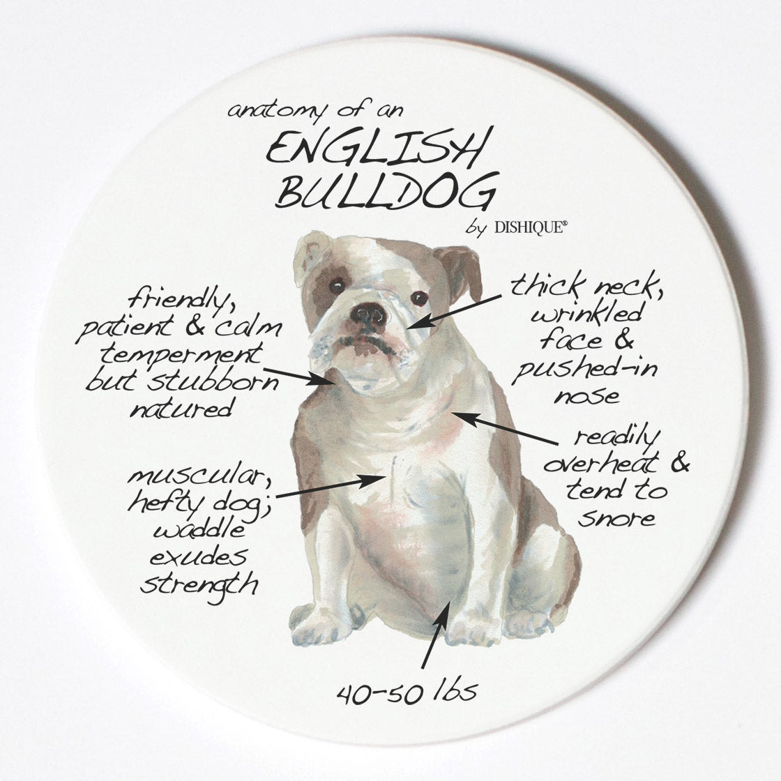 Individual Coaster - Dog Breed Gifts - English Bulldog