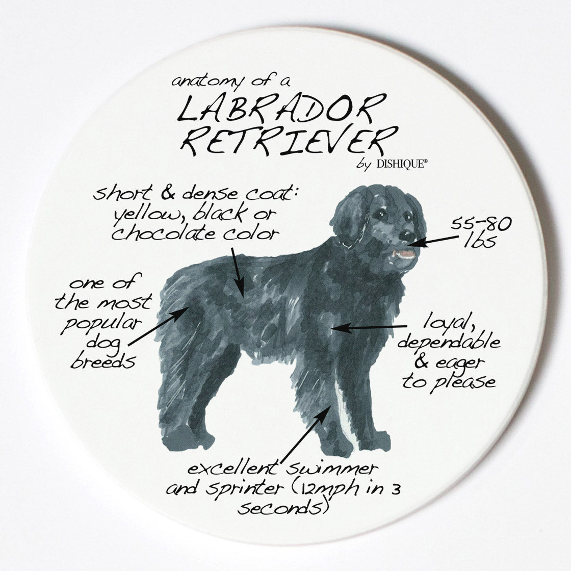 Individual Coaster - Dog Breed Gifts - Labrador Retriever
