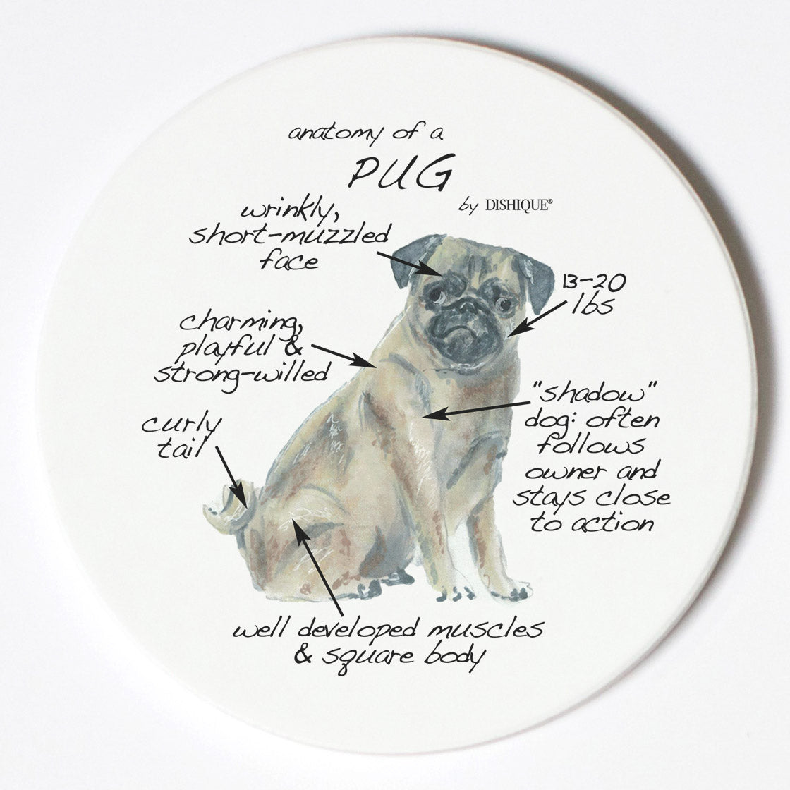 Pug Rib Structure Anatomy Of A Pug