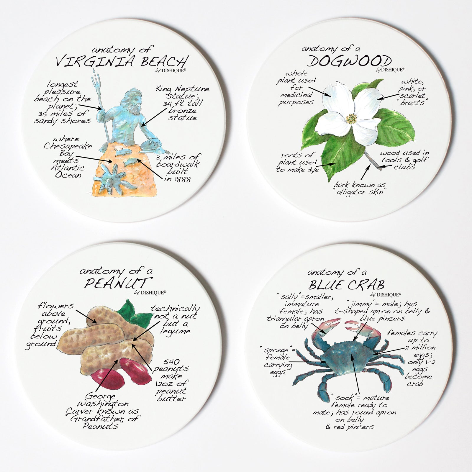 Virginia Anatomy Coaster Set
