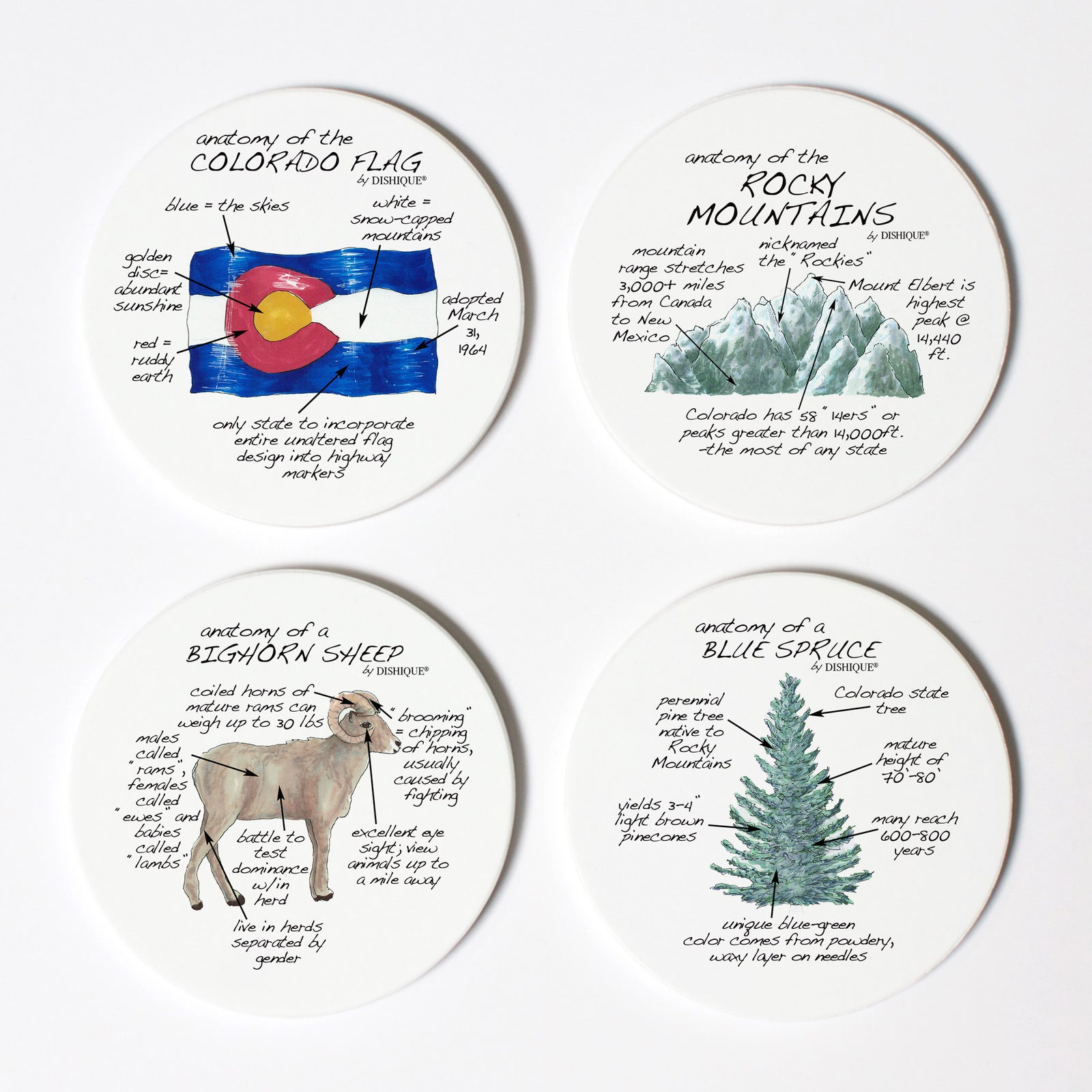 Colorado Anatomy Coaster Set