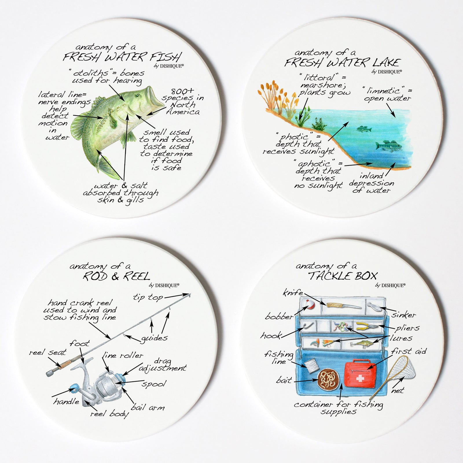 Fishing Anatomy Coaster Set
