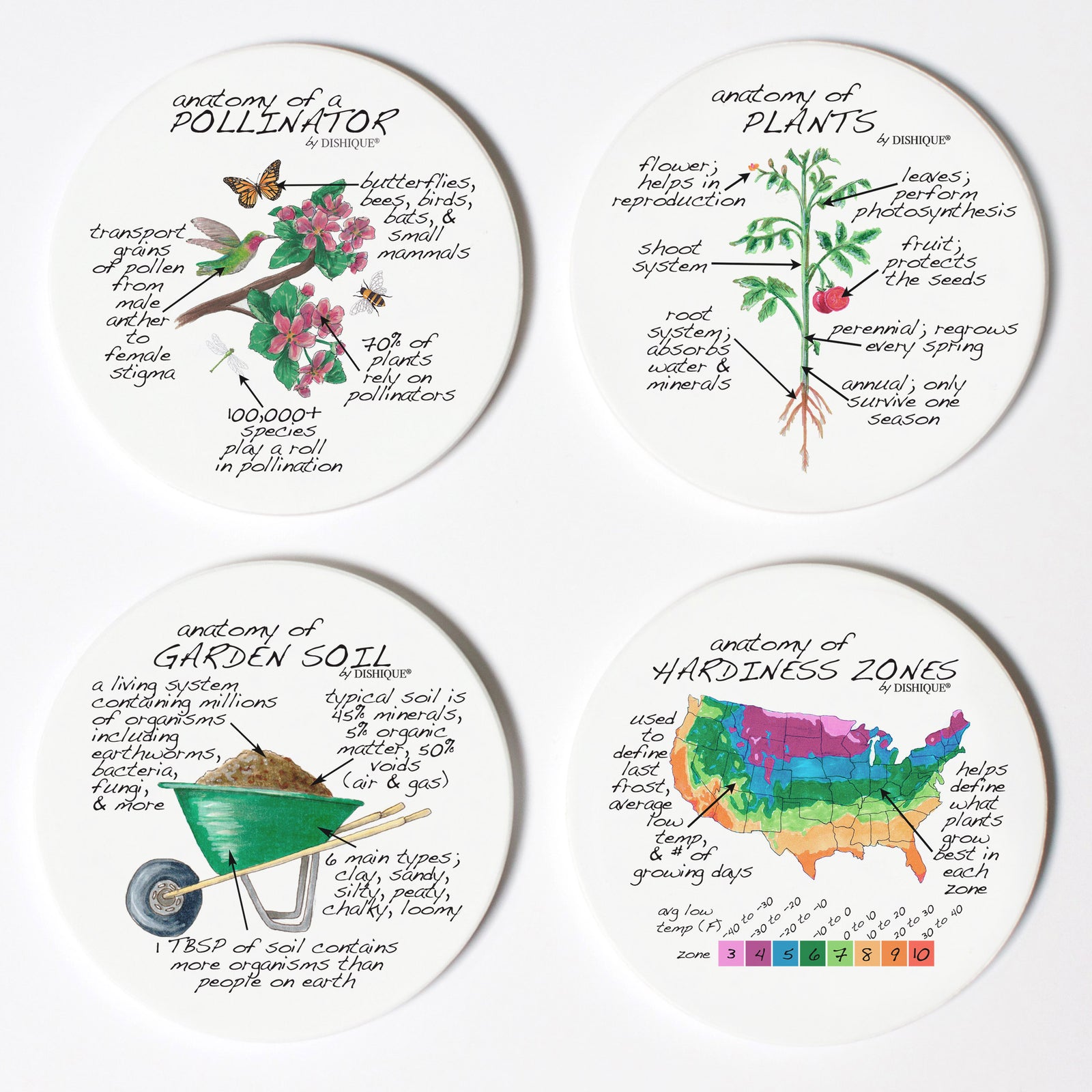 Gardening Anatomy Coaster Set