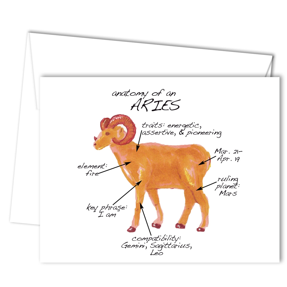 Aries Anatomy Greeting Card (blank inside)