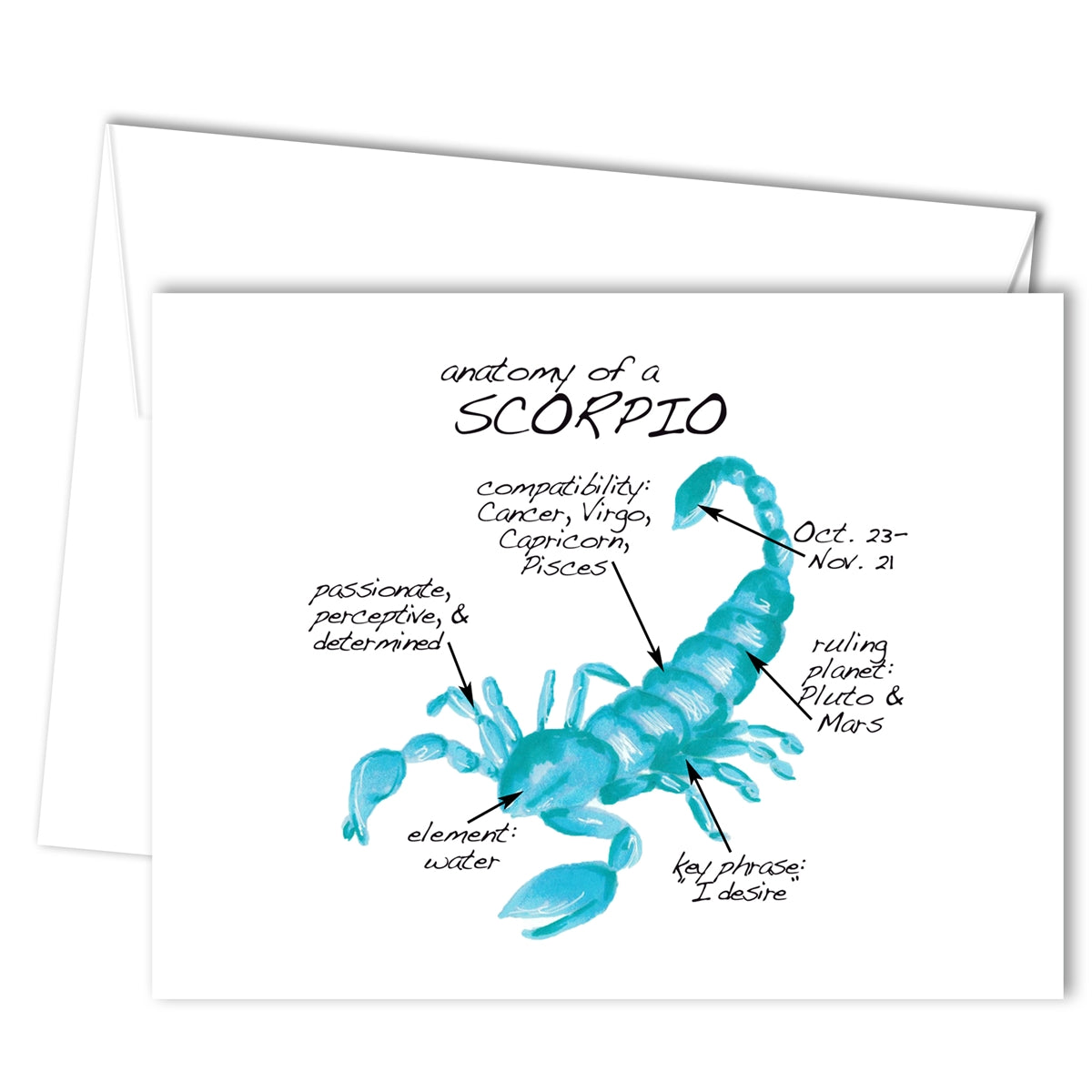 Scorpio Anatomy Greeting Card (blank inside)
