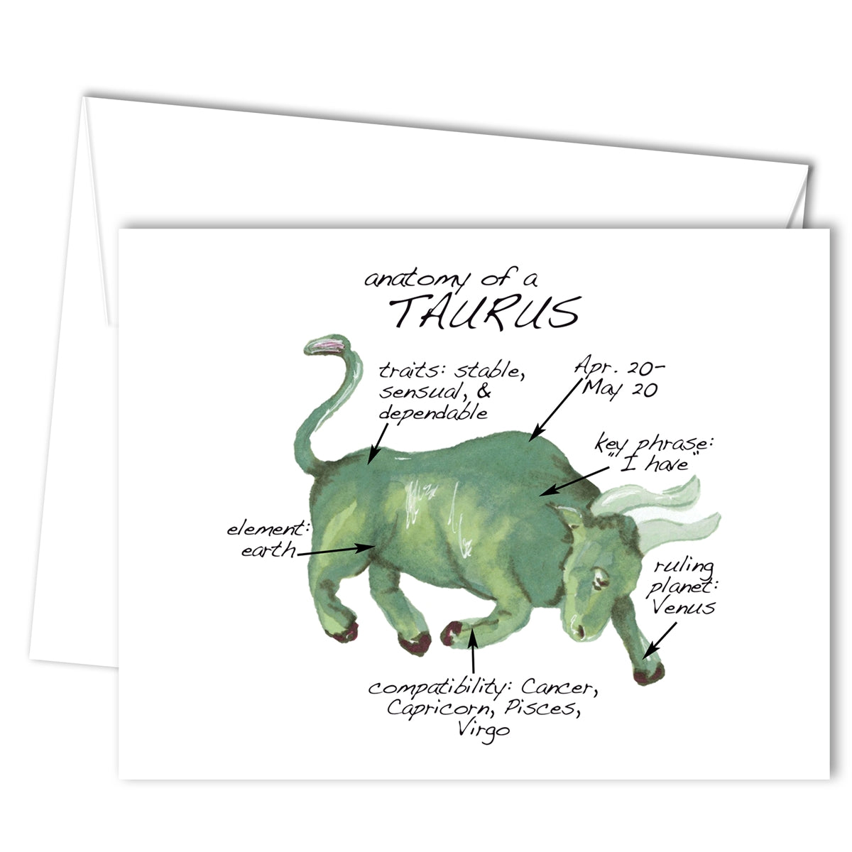 Taurus Anatomy Greeting Card (blank inside)
