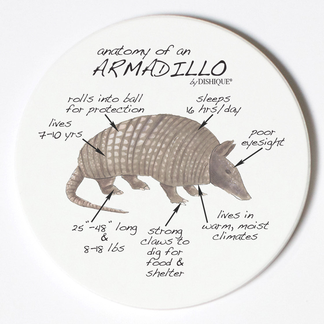 Individual Coasters - Animals & Insects - Armadillo