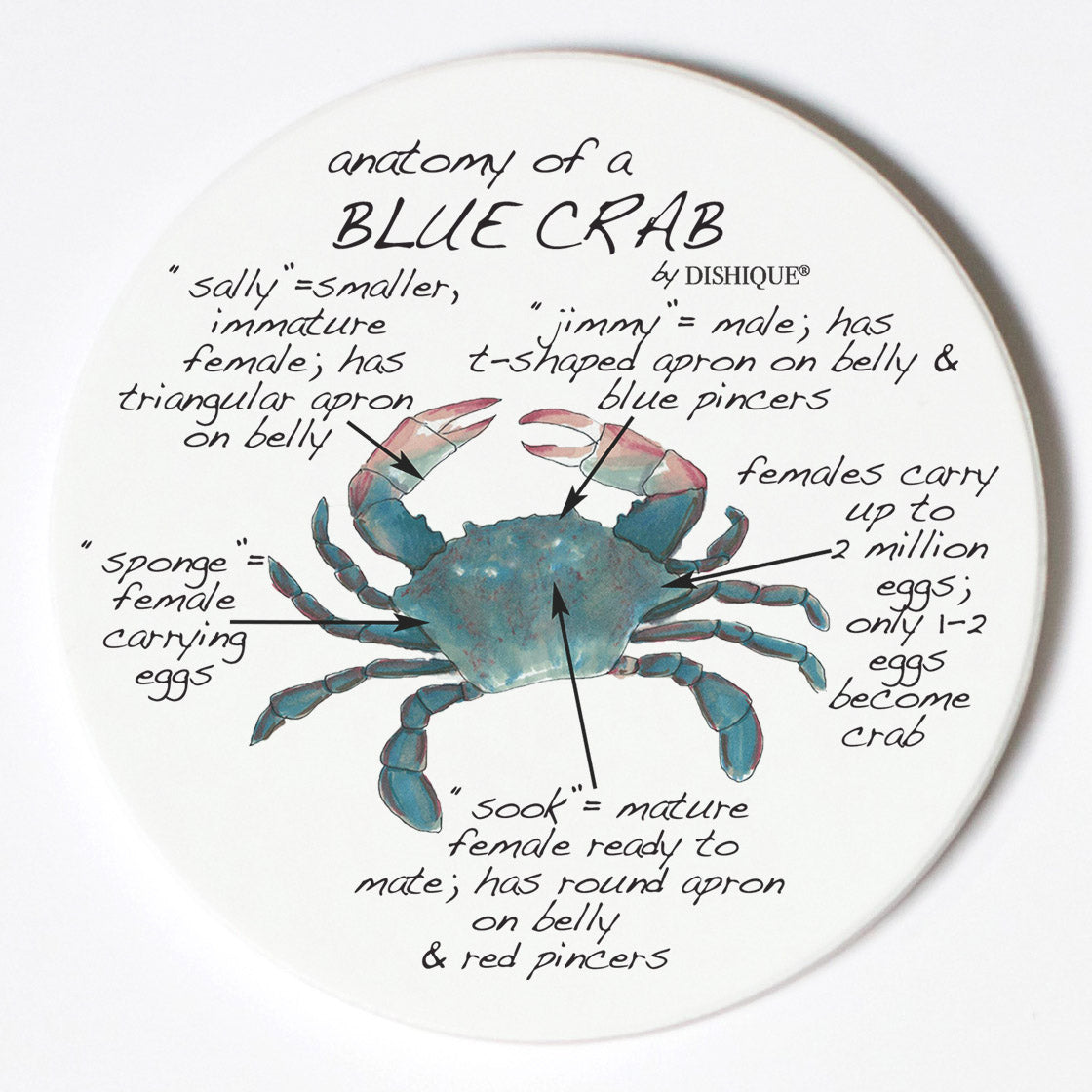 Individual Coasters - Animals & Insects - Blue Crab