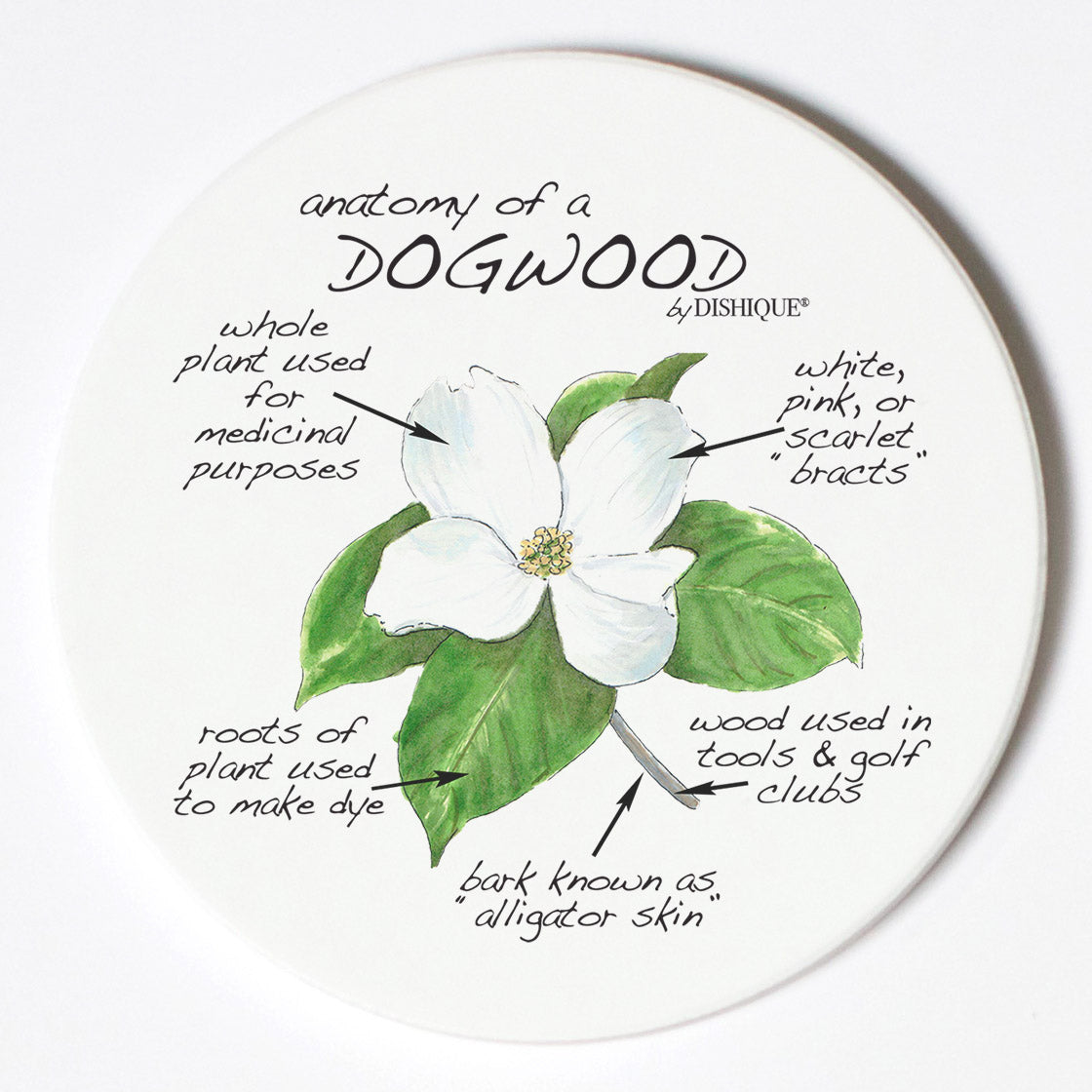 Individual Coasters - Plants - Dogwood