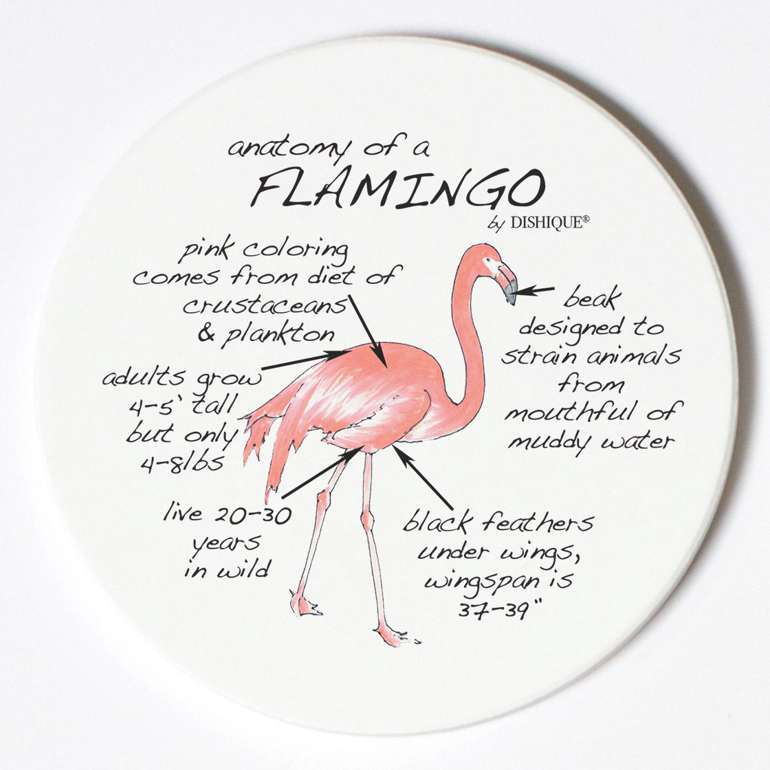 Individual Coasters - Animals & Insects - Flamingo