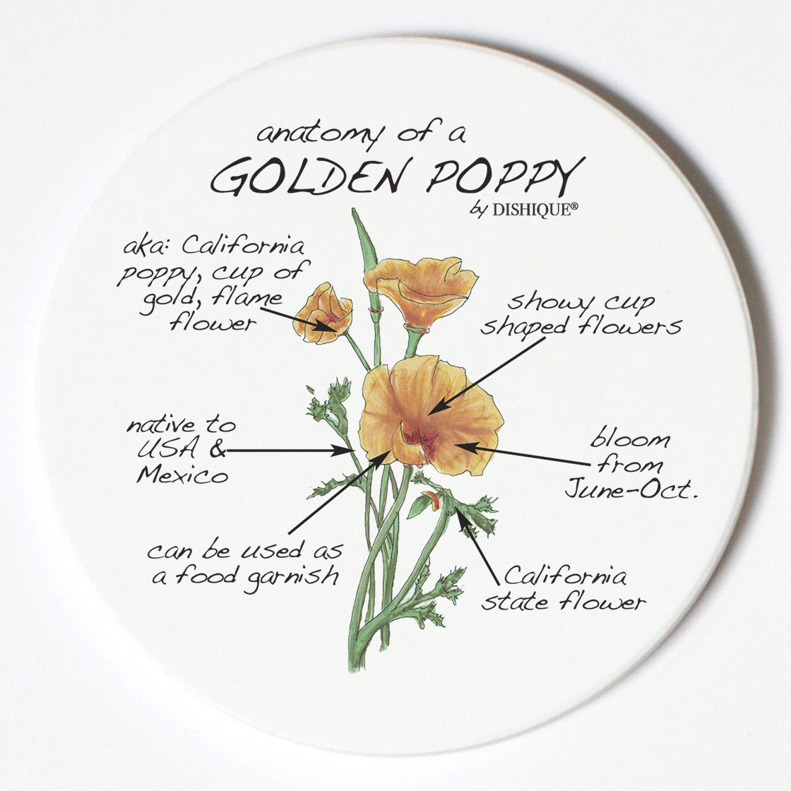 Individual Coasters - Plants - Golden Poppy