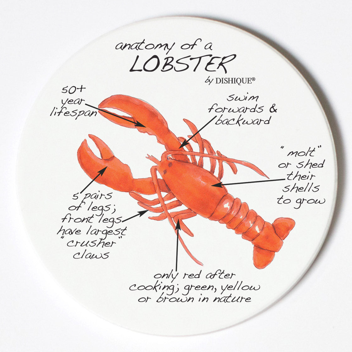 Individual Coasters - Animals & Insects - Lobster