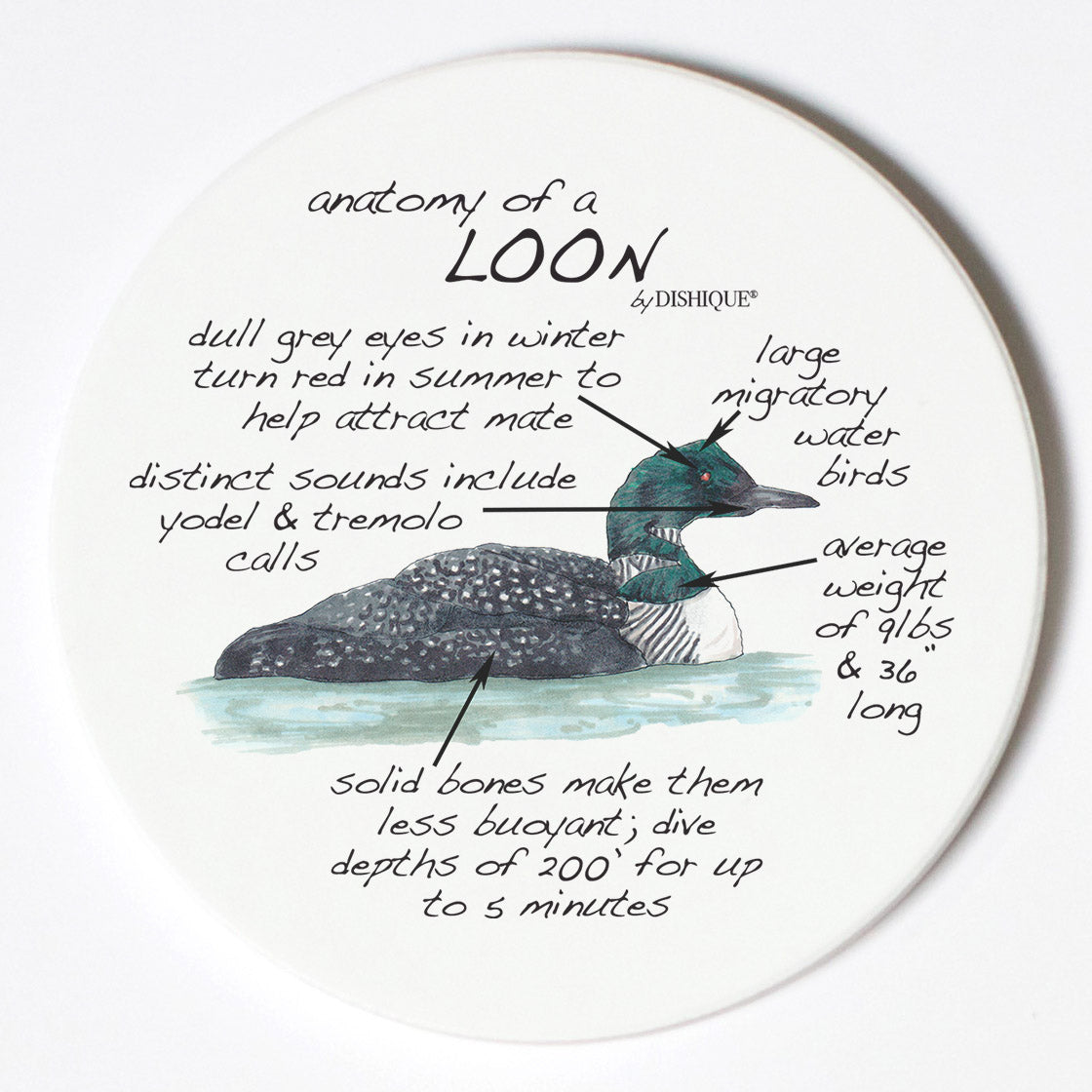 Individual Coasters - Animals & Insects - Loon