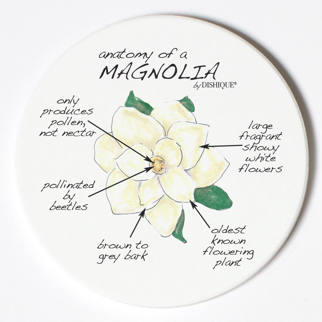 Individual Coasters - Plants - Magnolia