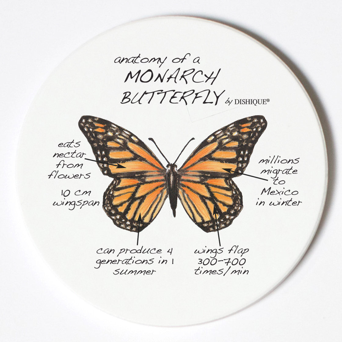 Individual Coasters - Animals & Insects - Monarch Butterfly
