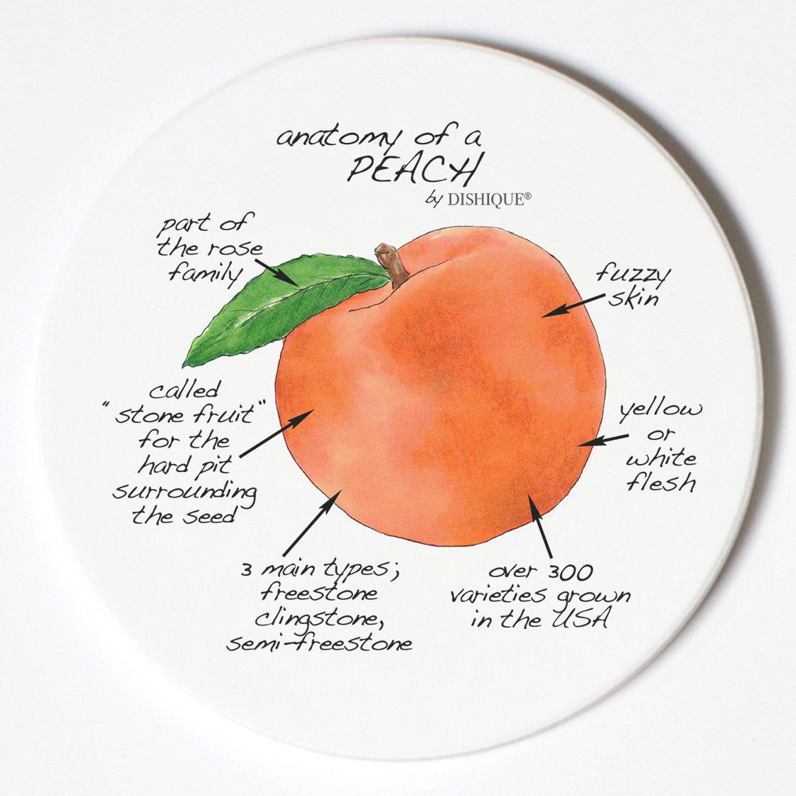 Individual Coasters - Food & Drinks - Peach