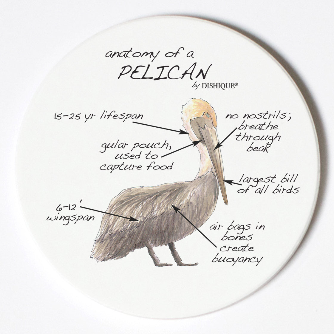 Individual Coasters - Animals & Insects - Pelican