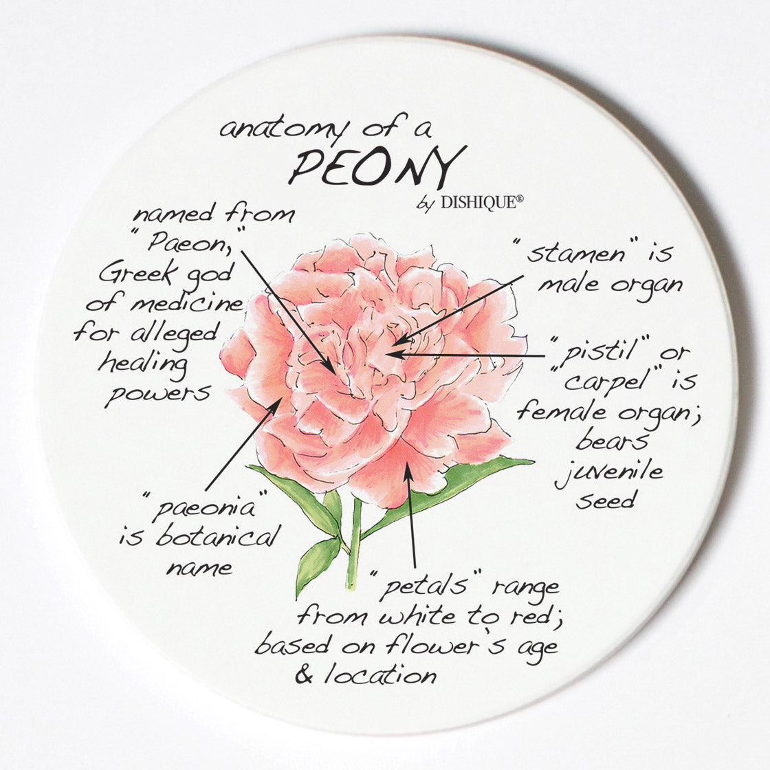 Individual Coasters - Plants - Peony