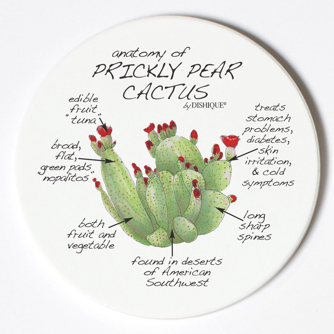 prickly pear cactus parts Individual Coasters - Plants