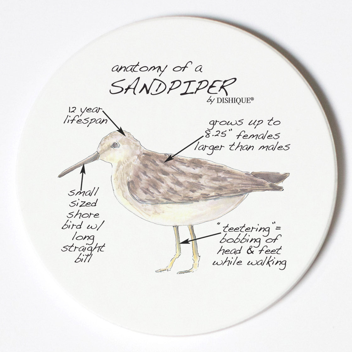 Individual Coasters - Animals & Insects - Sandpiper