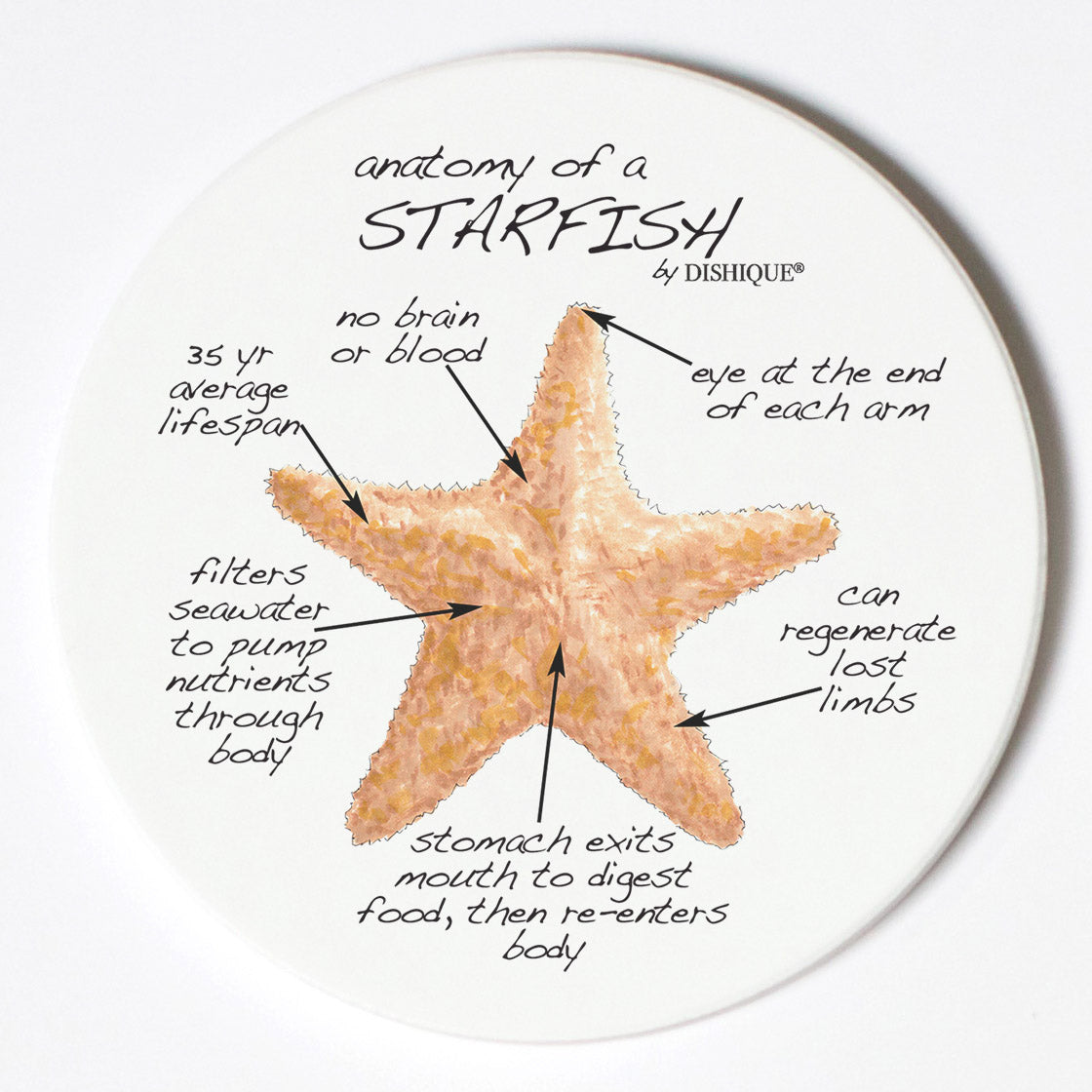 Individual Coasters - Animals & Insects - Starfish