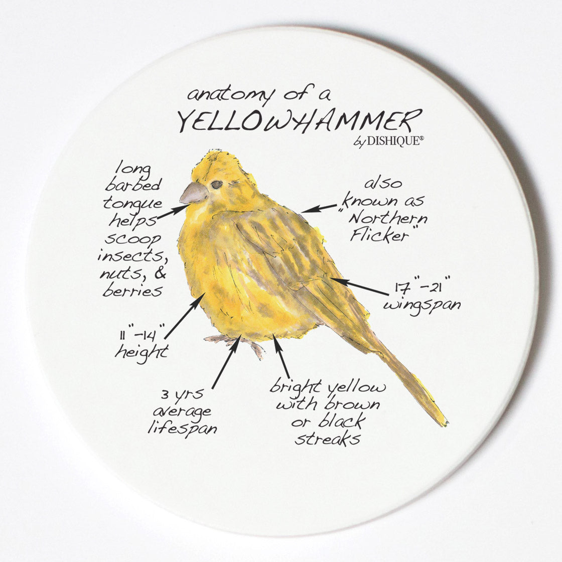 Individual Coasters - Animals & Insects - Yellowhammer